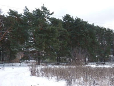 P1020657.jpg
