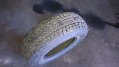 IMAG0074.jpg