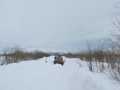 эсттото2.jpg