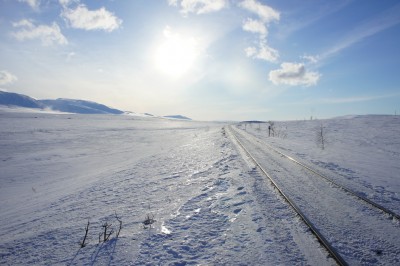 полярный3.jpg
