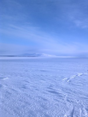 хороты5.jpg