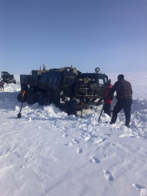ку3.jpg