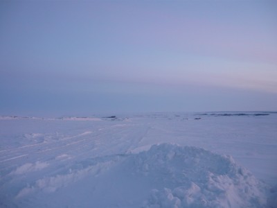 ку11.jpg
