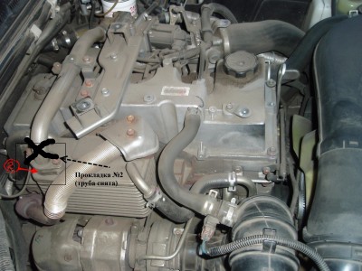 P9043804-EGR.JPG
