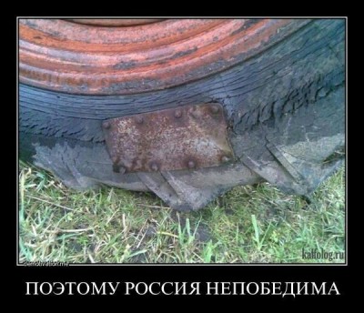 4OX6n0AOOTY.jpg