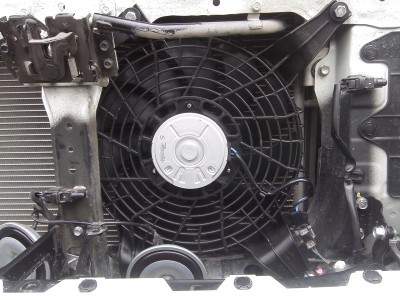 IMG00188.jpg