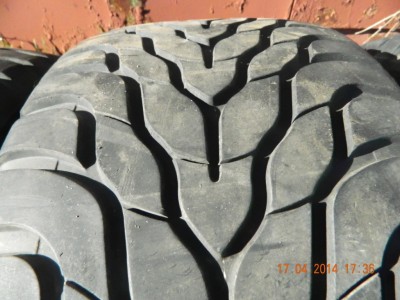 DSCN4184.JPG