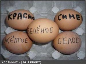 5355814m_196.jpg