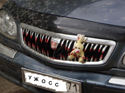капот.JPG