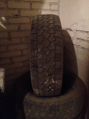 IMG_0528_mini.JPG
