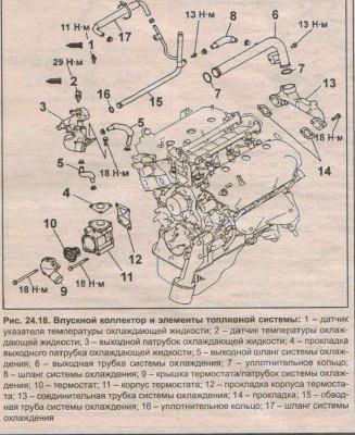 123.jpg