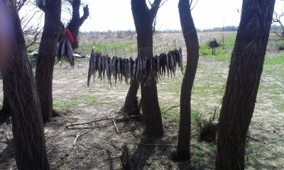 IMAG0373.jpg