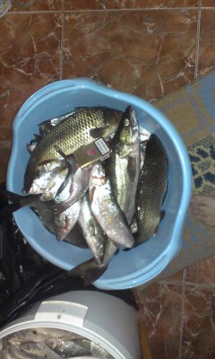 IMAG0380.jpg