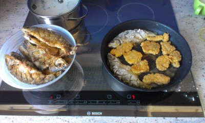 IMAG0398.jpg