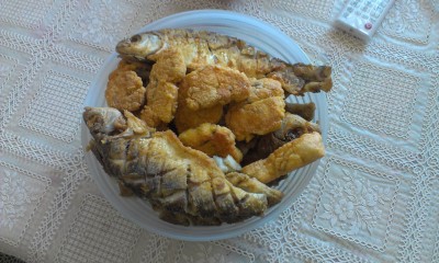 IMAG0399.jpg