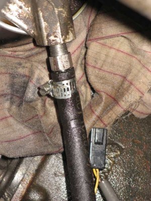 206cfa6d21df.jpg