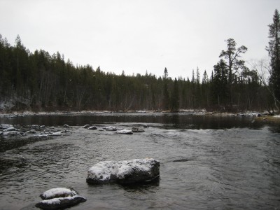 IMG_7499.JPG