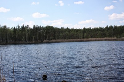 IMG_6576.JPG