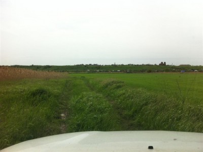 1 Через луга...jpg (78.17 КБ) 8282 просмотра 1 Через луга...jpg