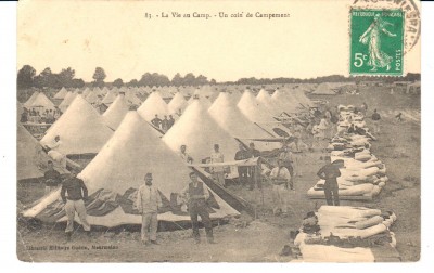 Scan6.jpg