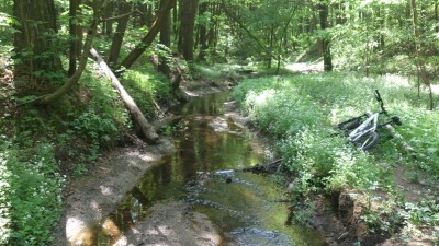 DSC_2163.JPG