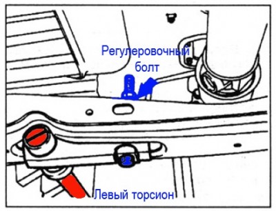 торс.jpg