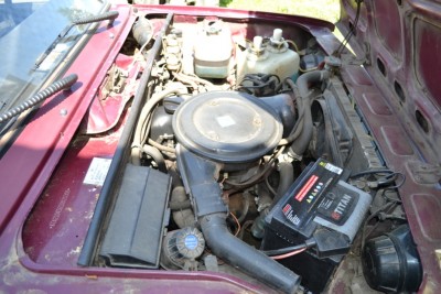 DSC_2273.JPG