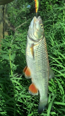 101009_l.jpg