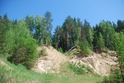 DSC_7859.JPG