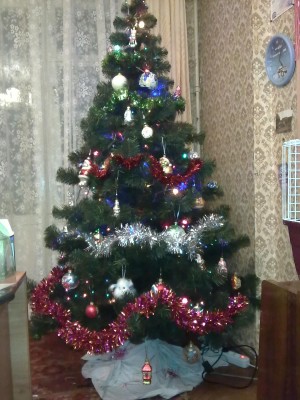 30122010031.jpg