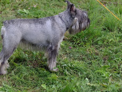 DSCF04731.jpg