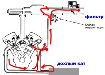 кат.jpg
