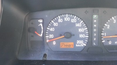 IMAG0245.jpg