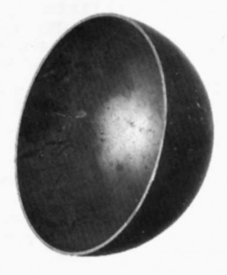 sharpolovina.jpg