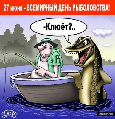 8d1e26.jpg