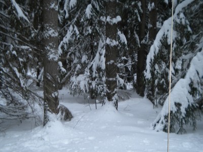 DSCN2917.jpg