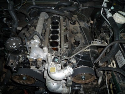 P1020192.JPG