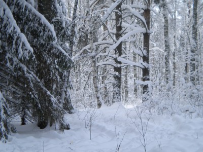 DSCN2946.jpg