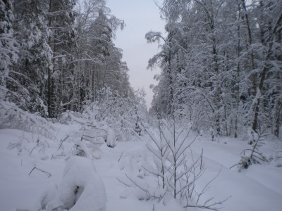 DSCN2948.jpg