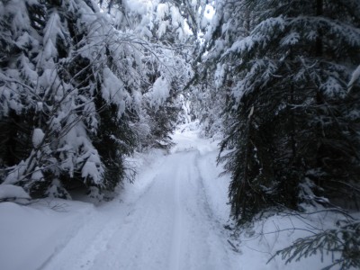 DSCN2955.jpg