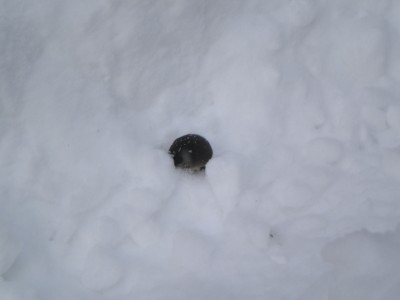DSCN2959.jpg