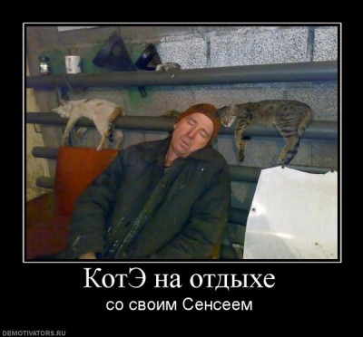 601316_kote-na-otdyihe.jpg
