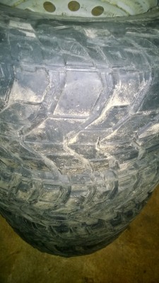 WP_20140330_025.jpg