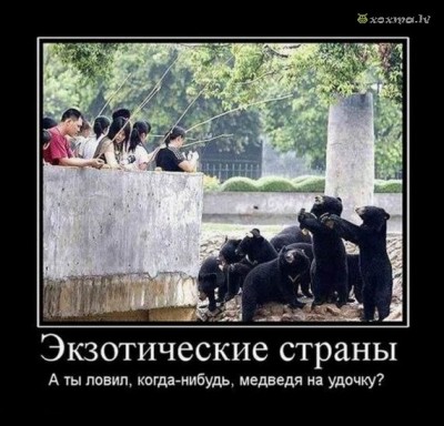 46fffbd459f9.jpg