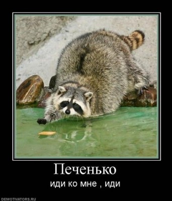 x_f7bb220d.jpg