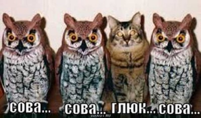 gliuk-rassilki-smartresponder.jpg