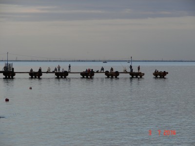 DSC01097.JPG