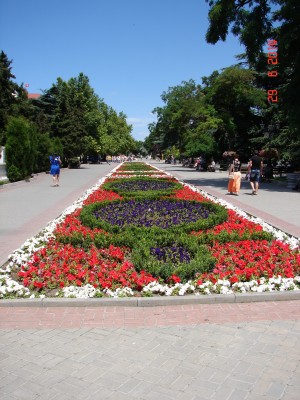 DSC00049.JPG