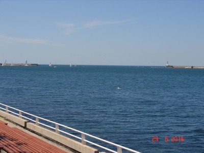 DSC00077.JPG