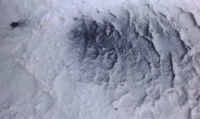 IMAG0005.jpg